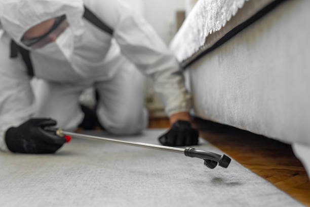 Professional Wasp Control technician working in Zephyrhills West, FL