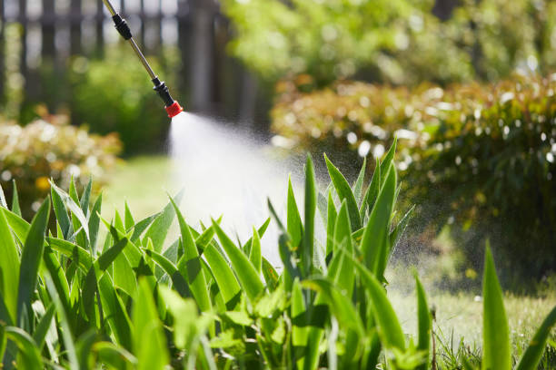 24/7 Emergency Termite Control experts in Zephyrhills West, FL