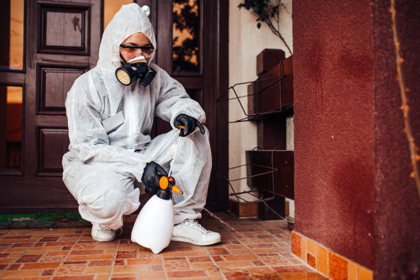 Reliable Termite Control contractor in Zephyrhills West, FL by Nex Pest Control